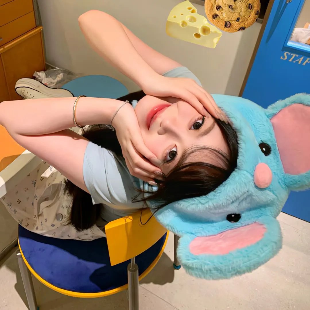 鼹鼠之歌完结篇